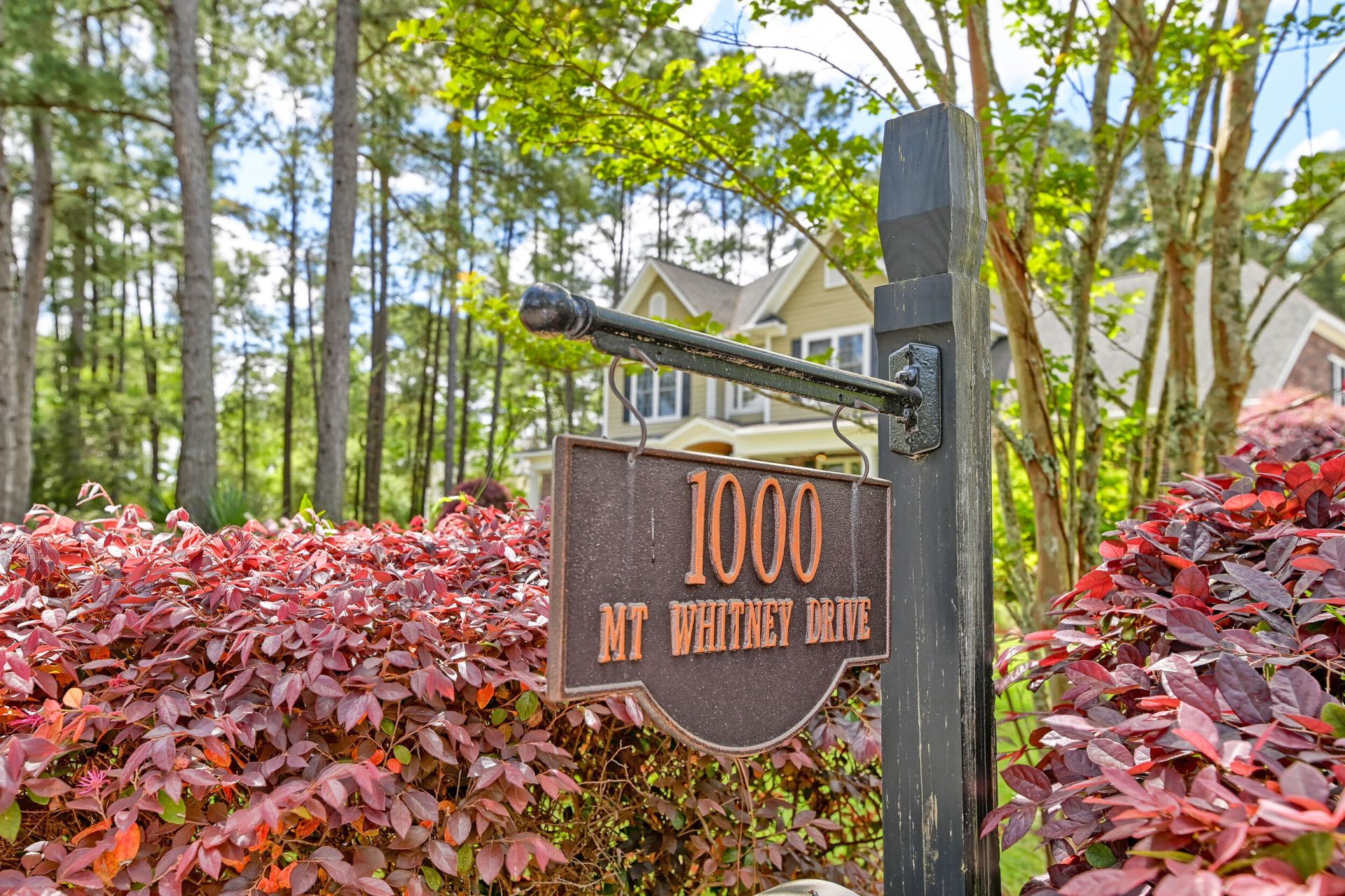 1000 Mt Whitney Drive Photo 79