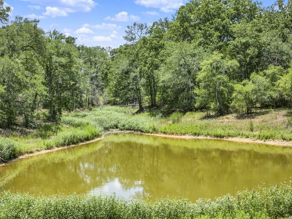 01 Whitetail Dr, Cedar Creek, TX 78612