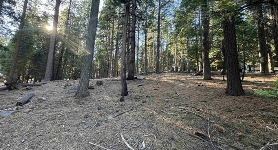 673 E Mountain Ridge Road, Lake Almanor, CA 96137 Photo