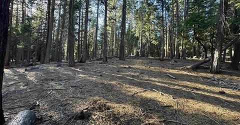 673 E Mountain Ridge Road, Lake Almanor, CA 96137 Photo