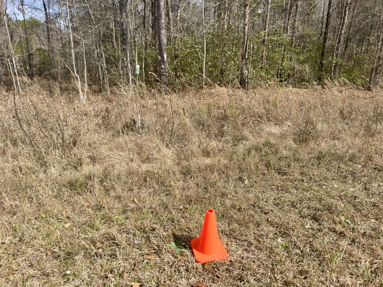 0 Highway 6 Photo 13