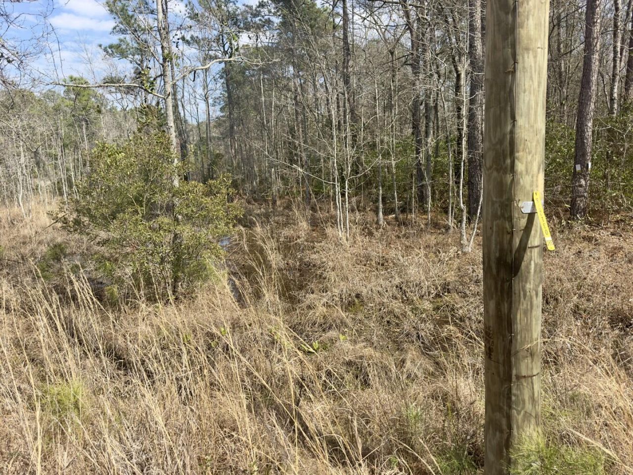 0 Highway 6 Photo 16