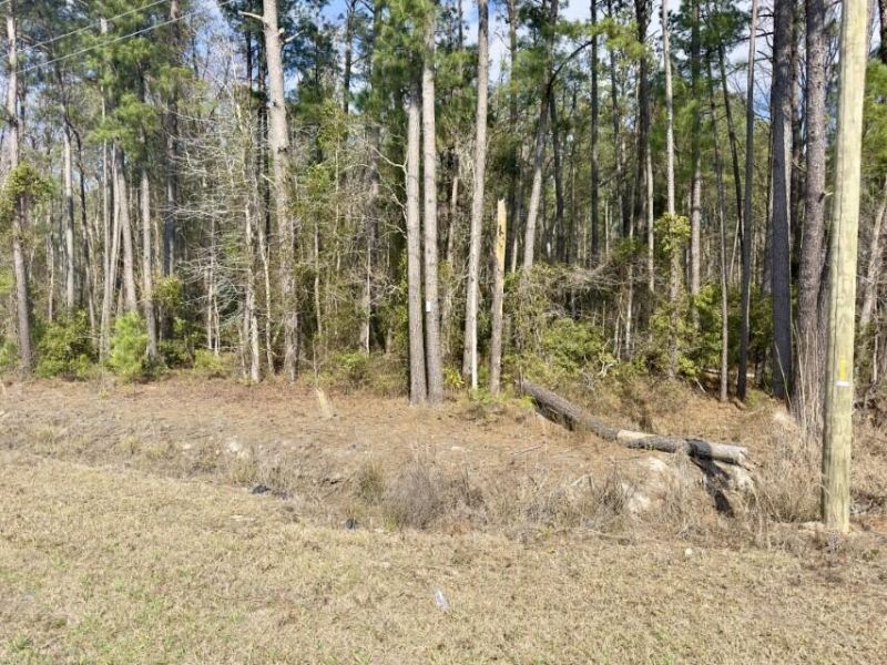 0 Highway 6 Photo 19