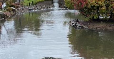 245 Northwood Dr, Folsom, CA 95630 Photo