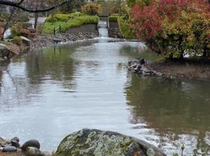 245 Northwood Dr, Folsom, CA 95630 Photo