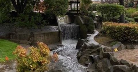 245 Northwood Dr, Folsom, CA 95630 Photo