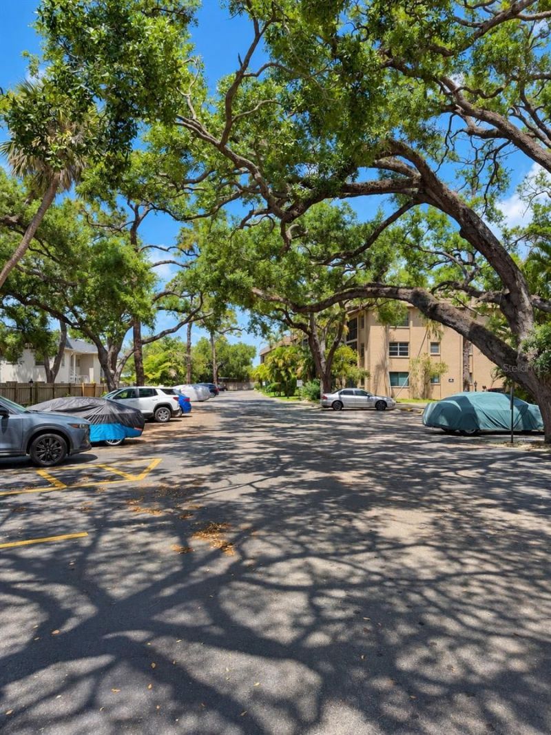 3700 S Osprey Avenue, Unit 205, Sarasota, FL 34239 Photo