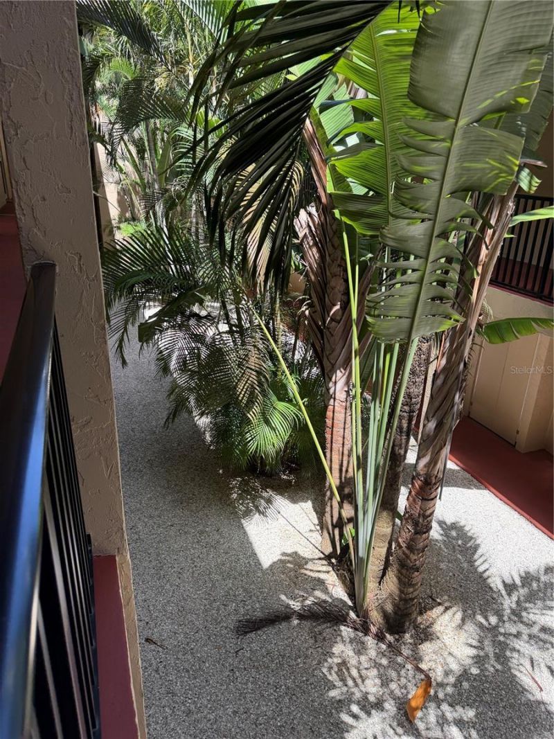 3700 S Osprey Avenue , Unit 205, Sarasota, FL 34239 Photo