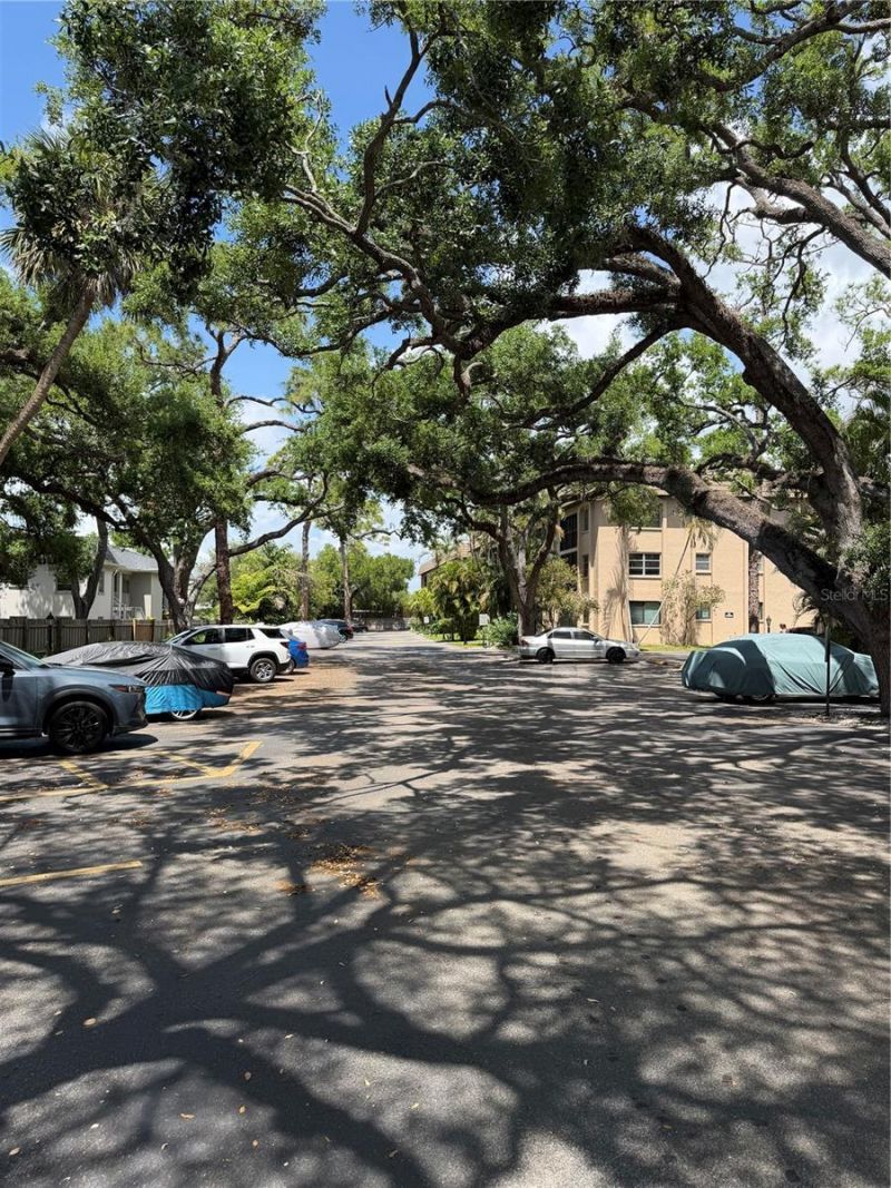 3700 S Osprey Avenue , Unit 205, Sarasota, FL 34239 Photo