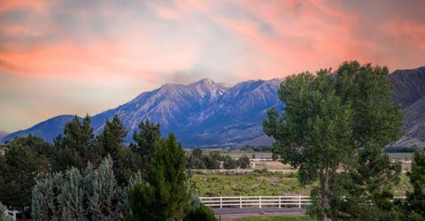 380 Genoa Lane, Minden, NV 89423 Photo