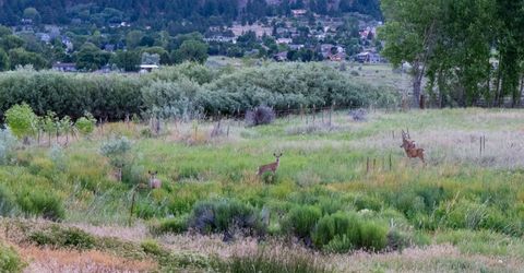 380 Genoa Lane, Minden, NV 89423 Photo