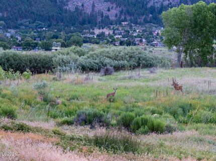 380 Genoa Lane, Minden, NV 89423 Photo