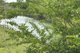 Tbd Bradford Dr. photo 4