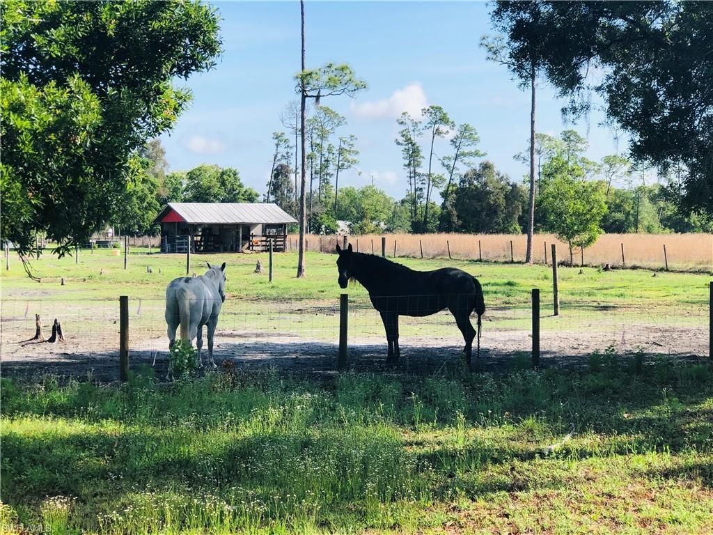 11311 Deal Rd , North Fort Myers, FL 33917 Photo