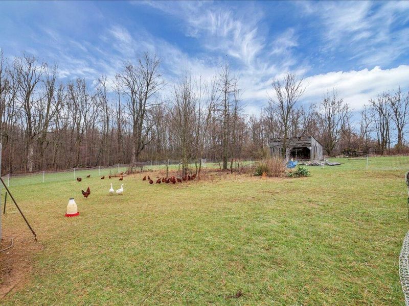 4605 Township Road 191, Marengo, OH 43334 Photo 59