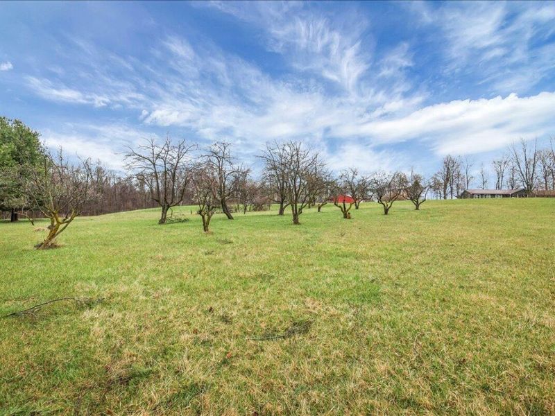 4605 Township Road 191, Marengo, OH 43334 Photo 61