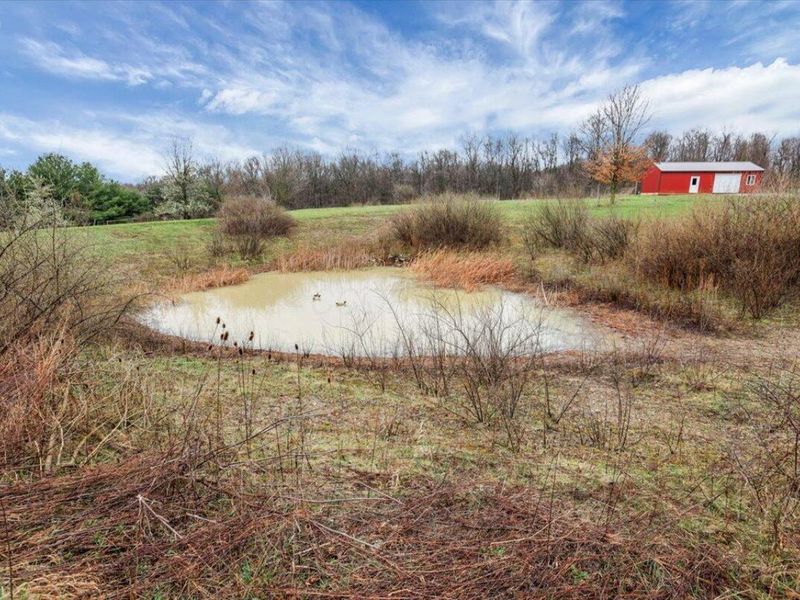 4605 Township Road 191, Marengo, OH 43334 Photo 62