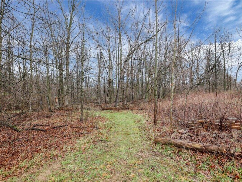 4605 Township Road 191, Marengo, OH 43334 Photo 66