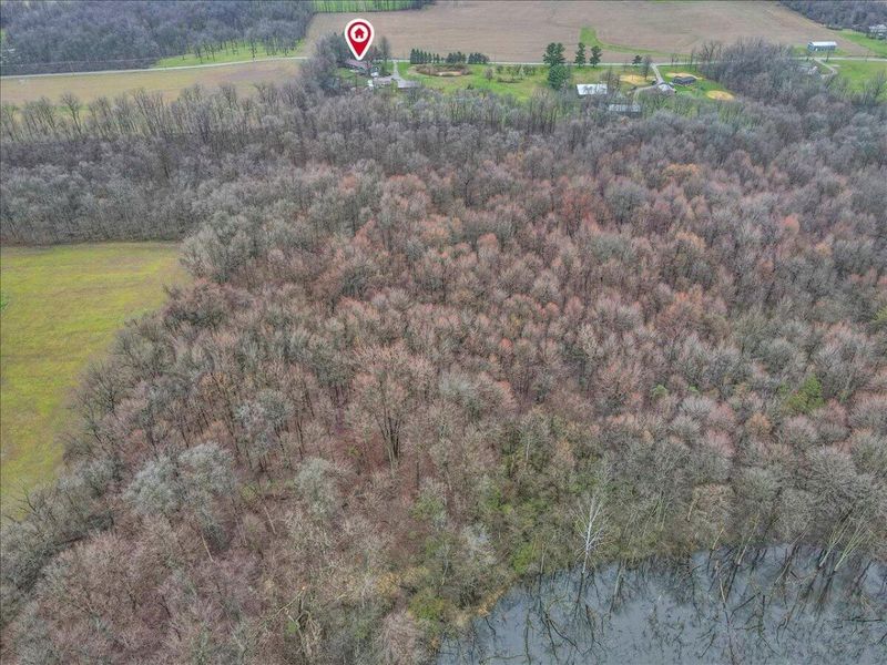 4605 Township Road 191, Marengo, OH 43334 Photo 73