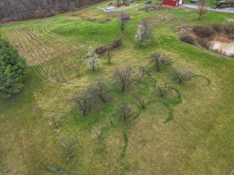 4605 Township Road 191, Marengo, OH 43334 Photo 84