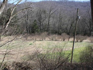 1625 Gauley River Road, Webster Springs, WV 26288