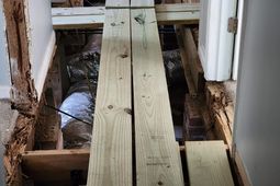 3213 Woodsen Circle photo 4