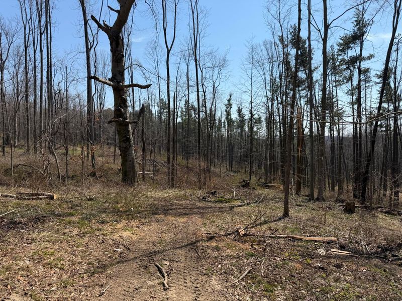 0 OH-314, Ontario, OH 44903 Photo 3