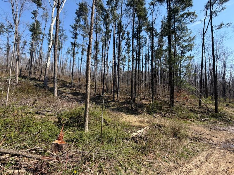 0 OH-314, Ontario, OH 44903 Photo 8