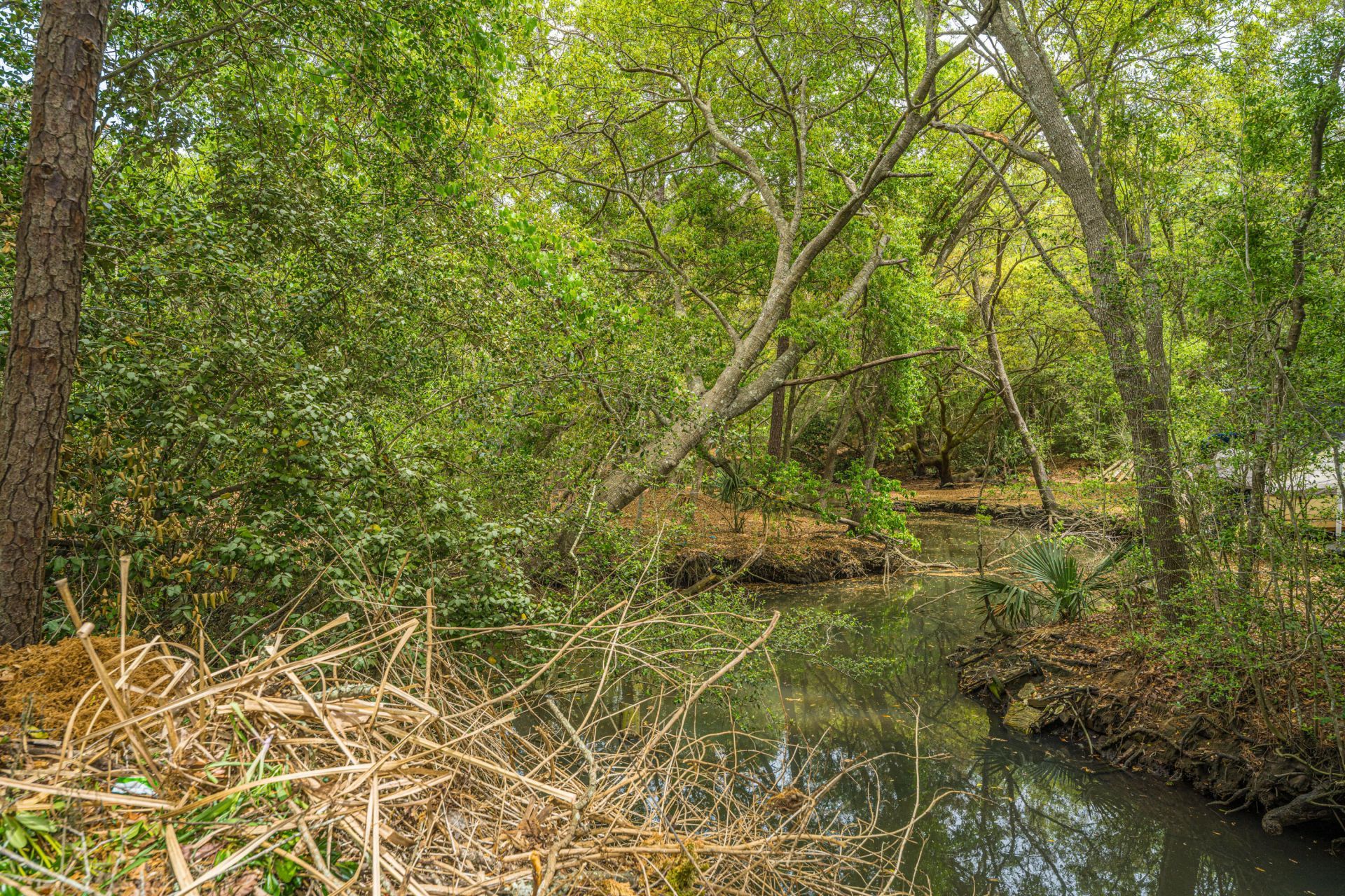 1059 S Shem Drive Photo 51