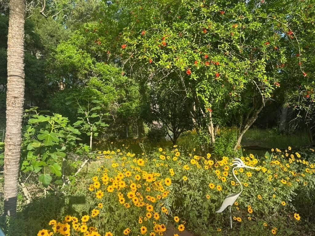 1059 S Shem Drive Photo 55