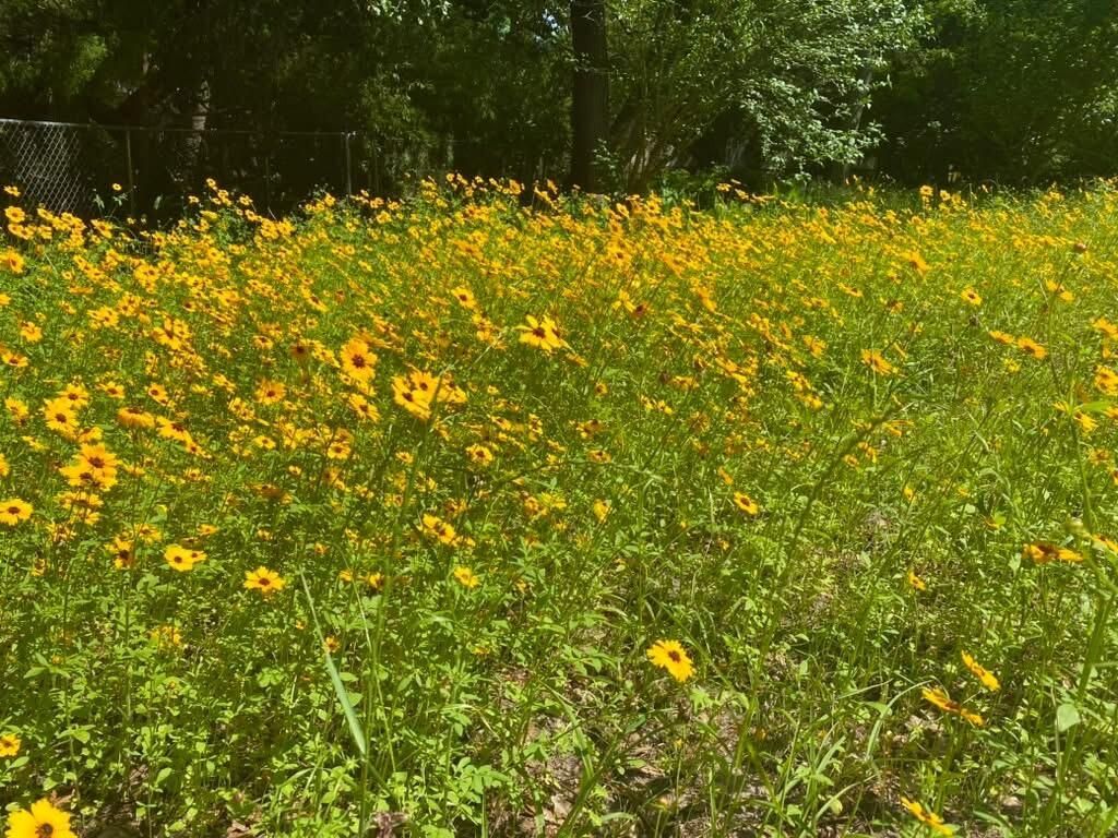 1059 S Shem Drive Photo 56