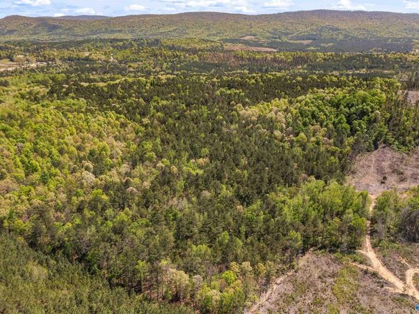 LOT 1 Pruitt Road, Piedmont, AL 36272