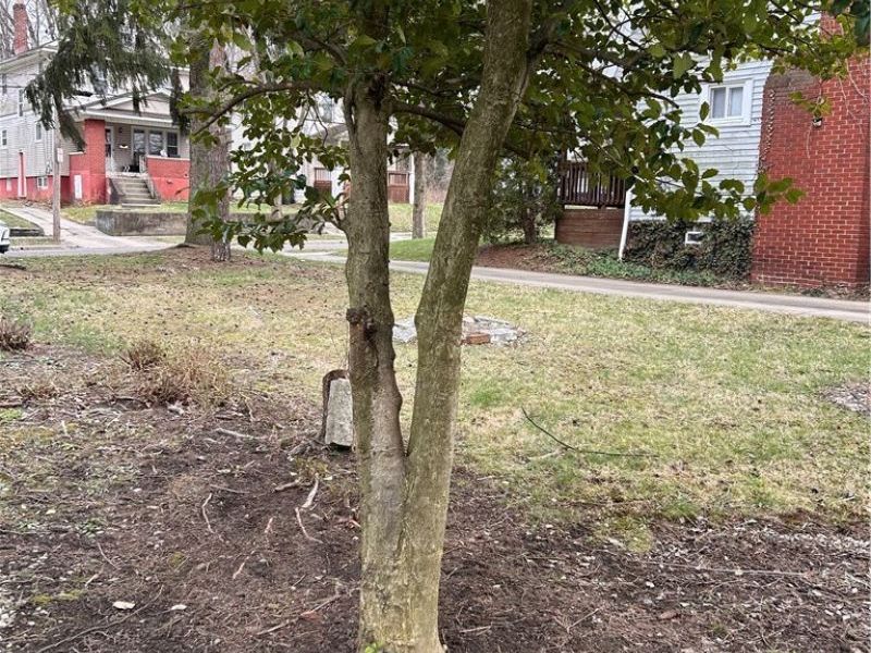 338 Noah Avenue, Akron, OH 44320 Photo 24