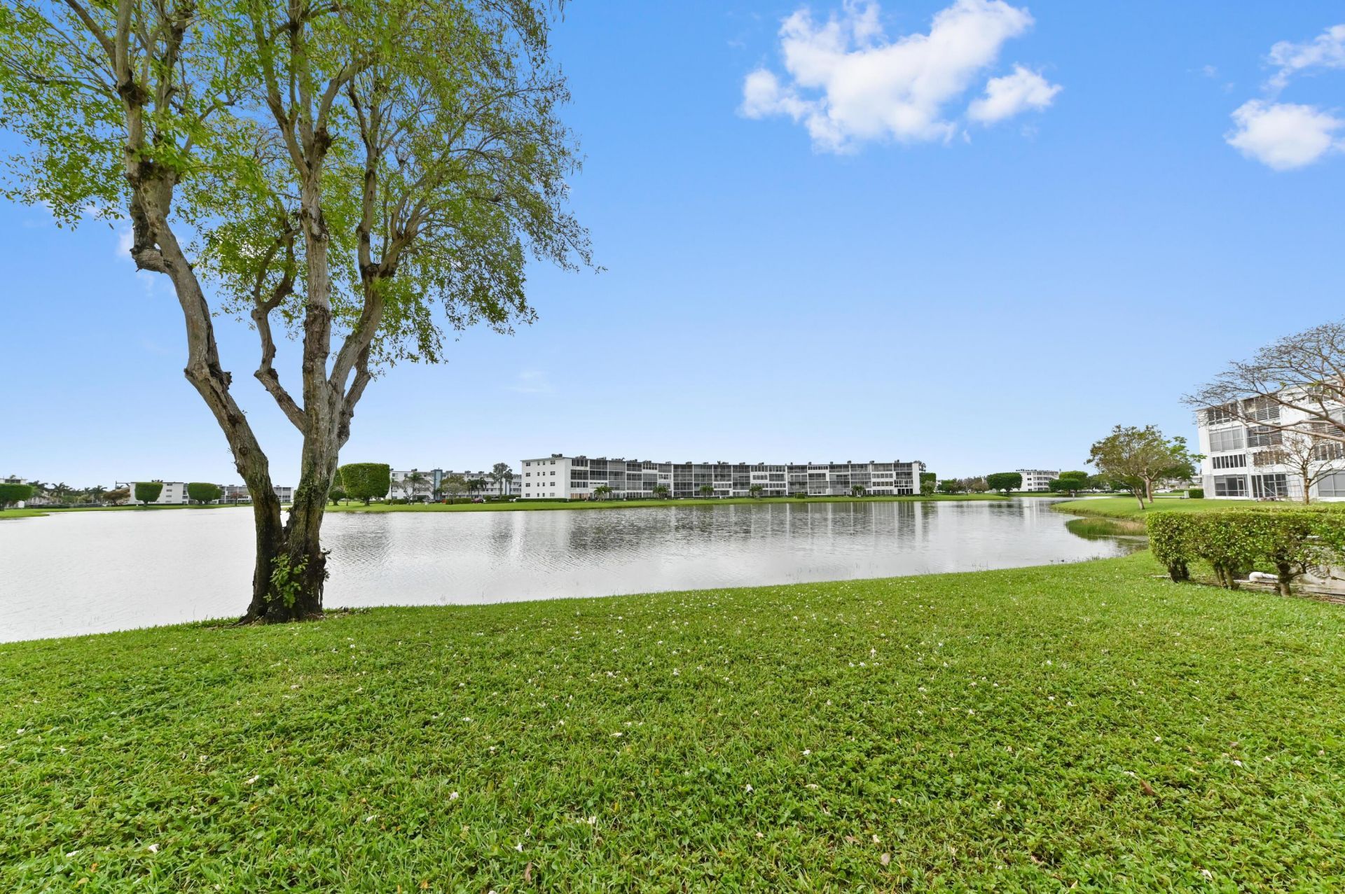 1034 Rexford B, Boca Raton, FL 33434 Photo