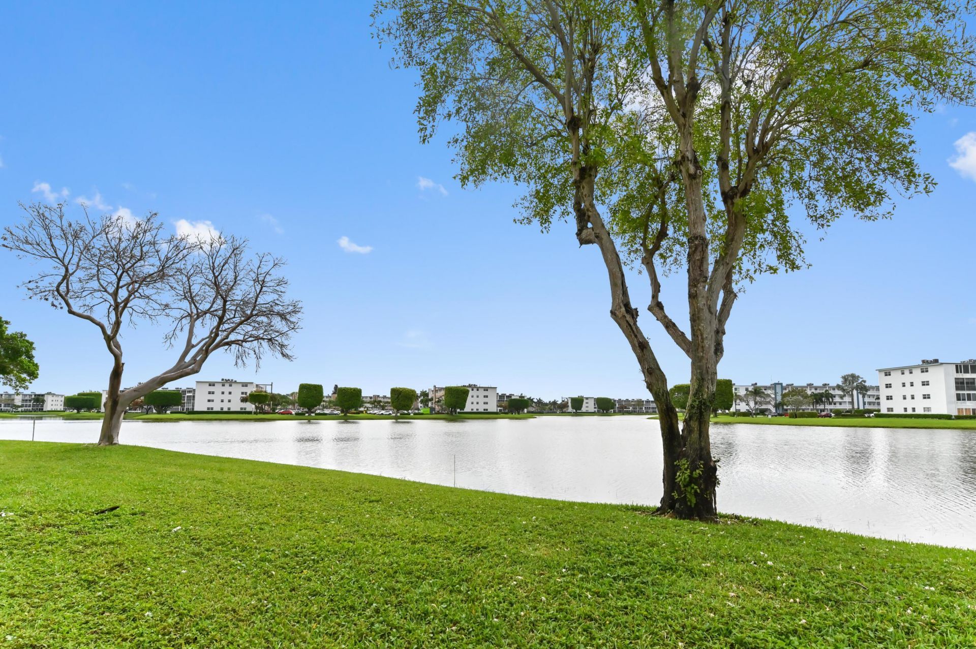 1034 Rexford B, Boca Raton, FL 33434 Photo