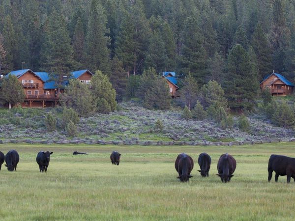 0 Fishhole Creek Road, Bly, OR 97622