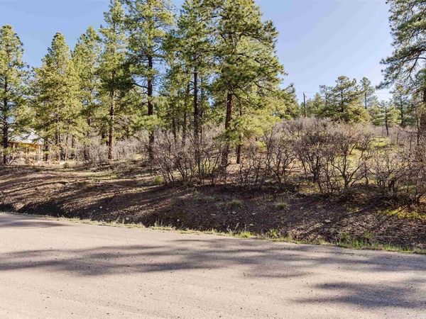 106 Granada Drive, Pagosa Springs, CO 81147