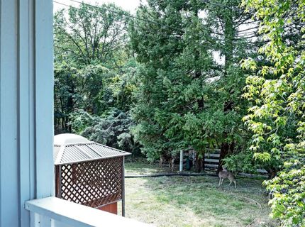 2510 Rising Hill Rd, Placerville, CA 95667 Photo