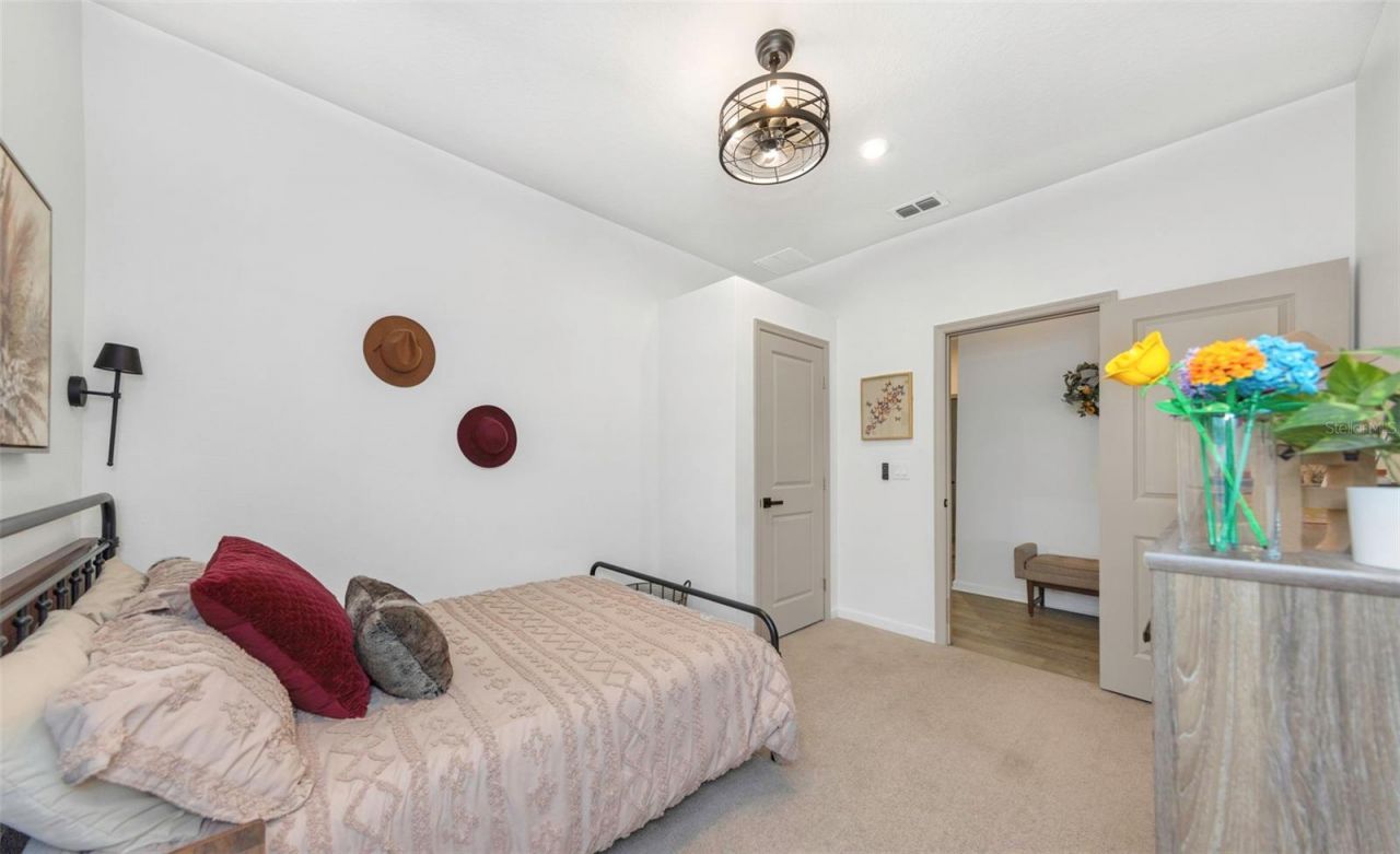 2427 Portico Street, Odessa, FL 33556 Photo
