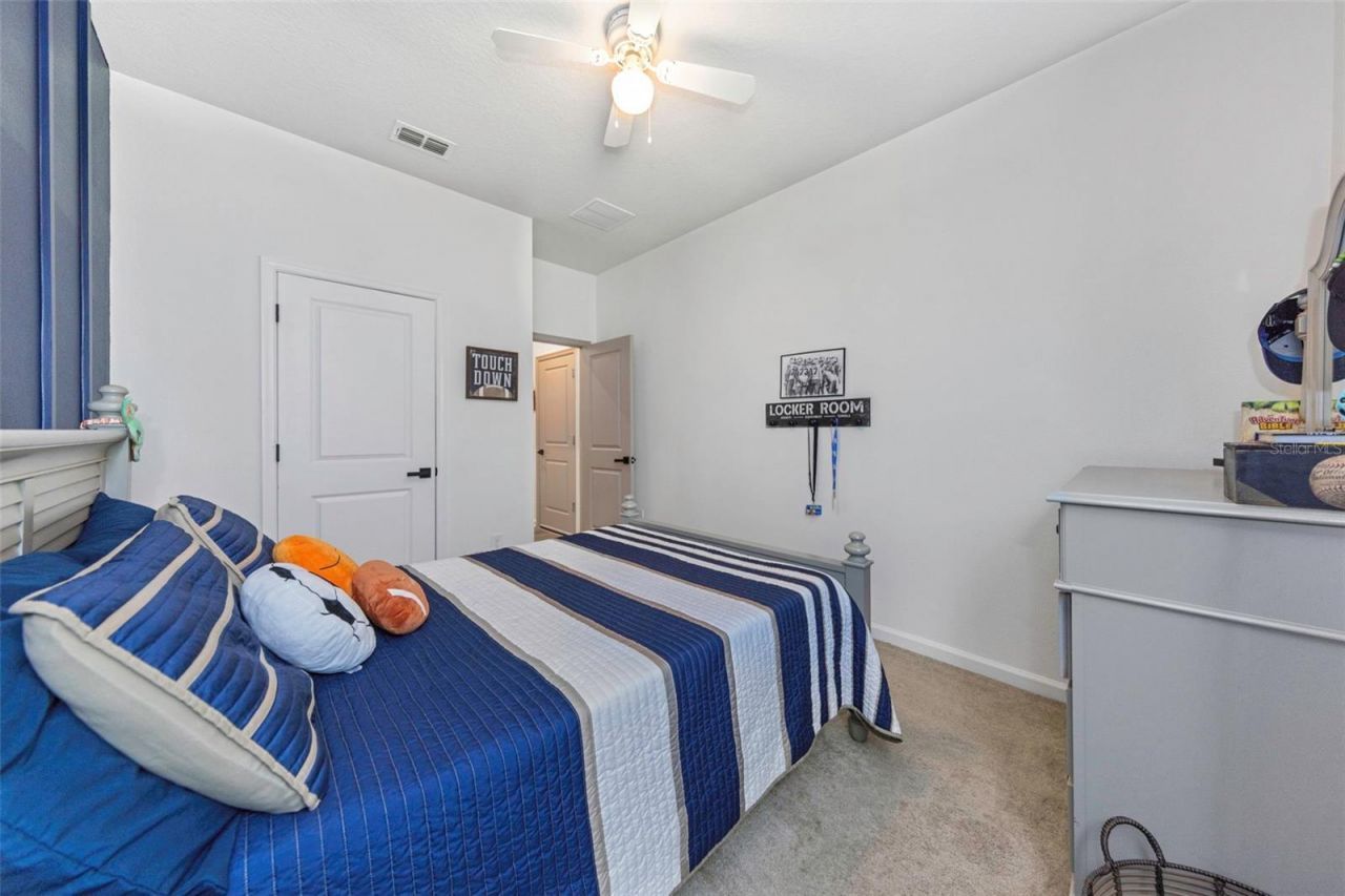 2427 Portico Street, Odessa, FL 33556 Photo