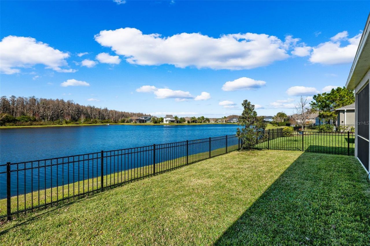 2427 Portico Street, Odessa, FL 33556 Photo