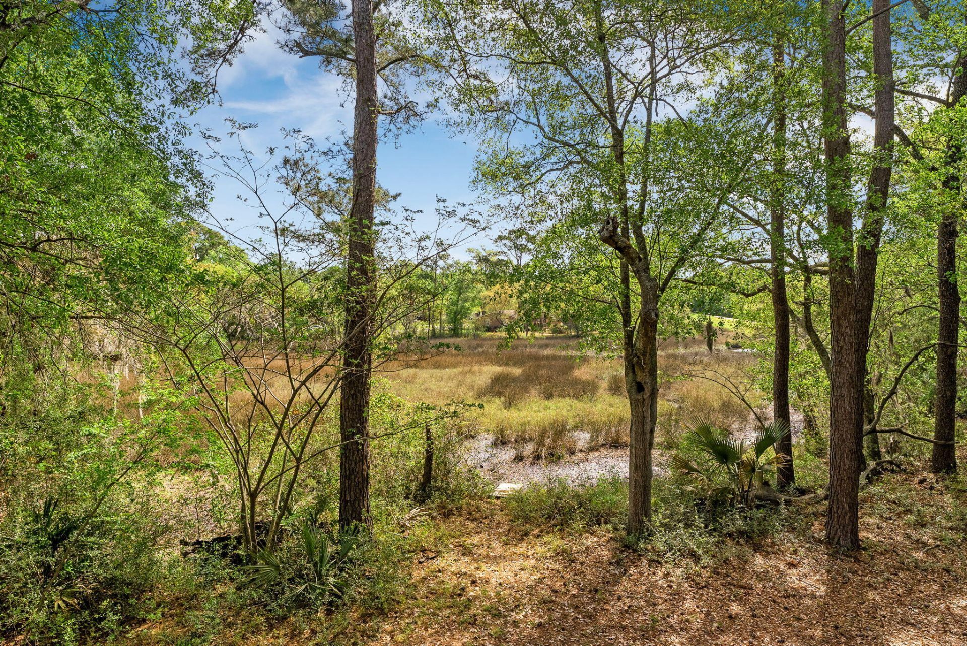 504 Parkdale Drive Photo 30