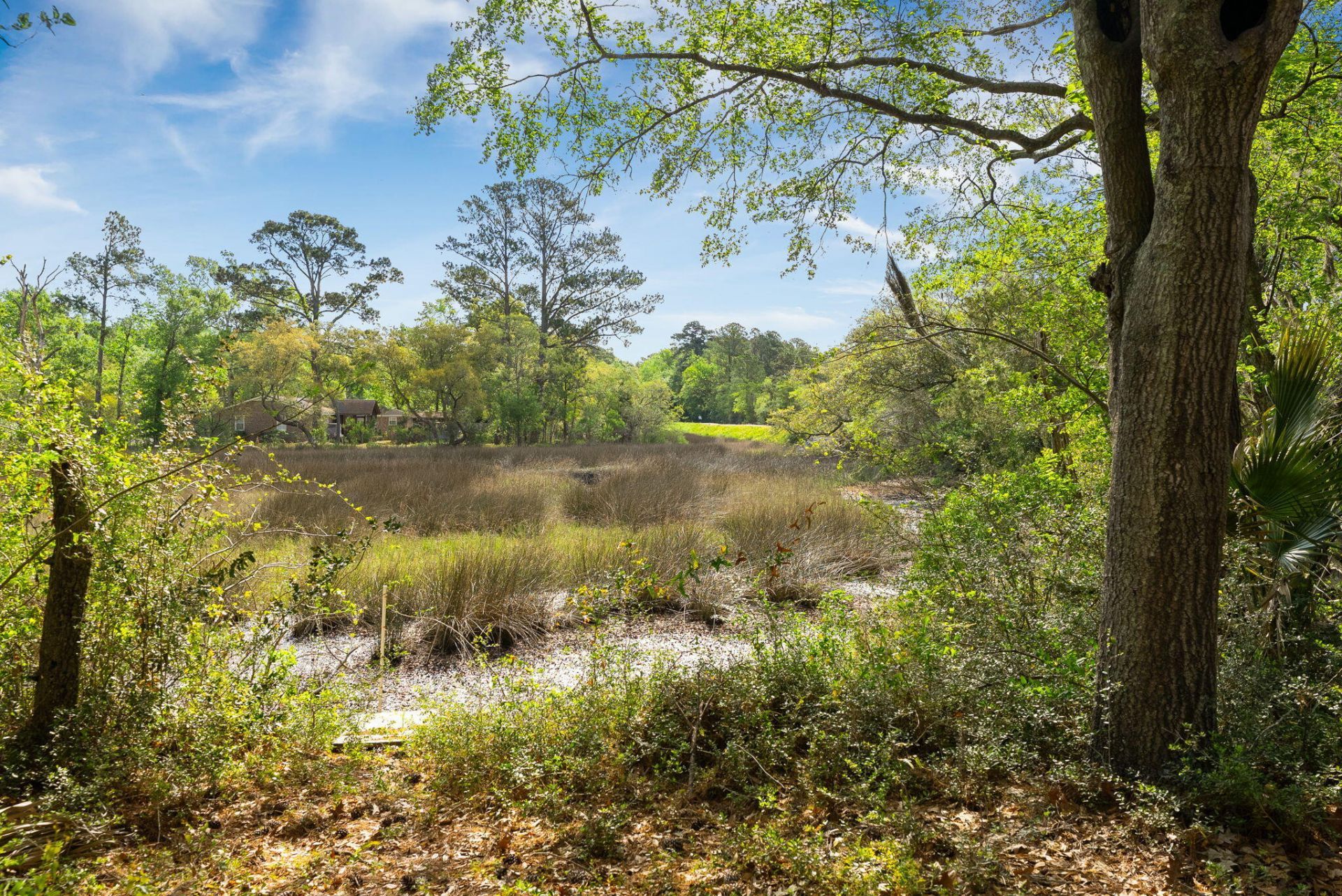 504 Parkdale Drive Photo 5