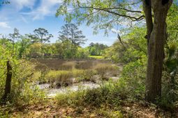 504 Parkdale Drive photo 4