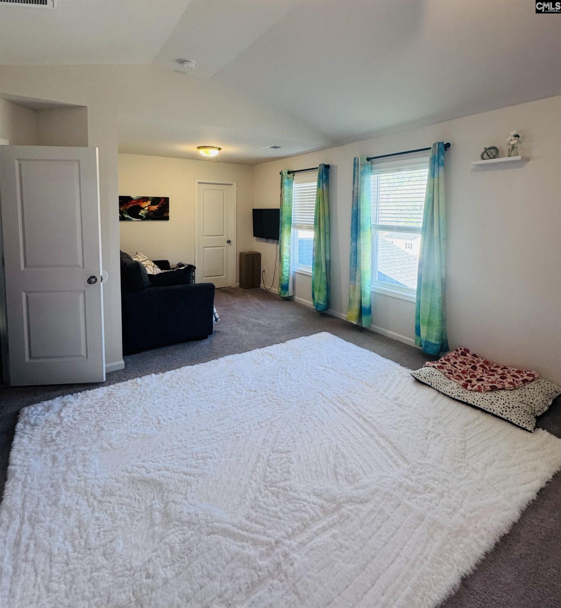 146 Belfast Way Photo 38