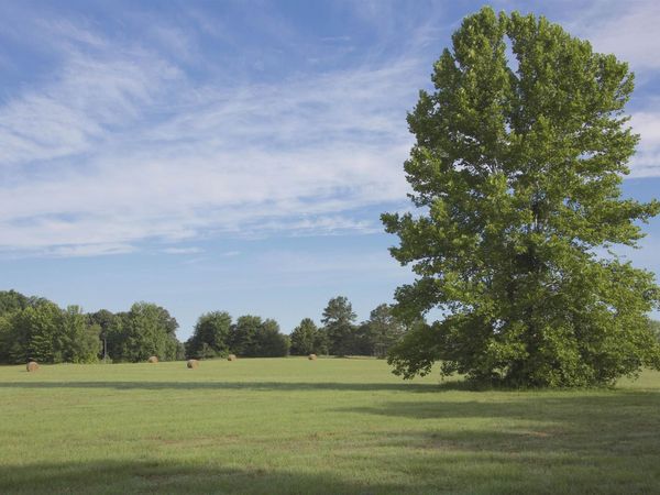 3490 YAGER RD, Moscow, TN 38057