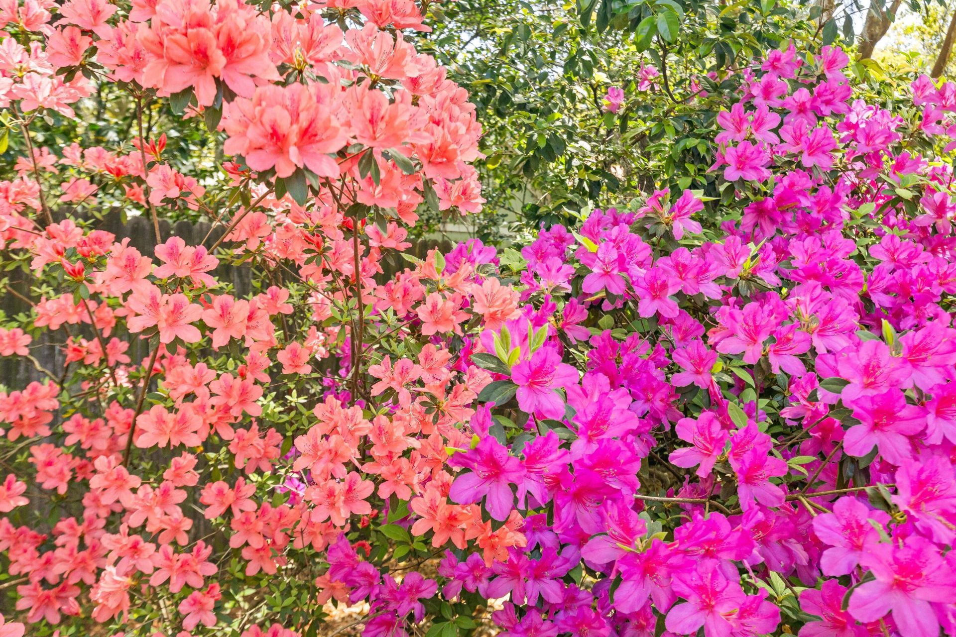 2169 Westrivers Road Photo 49