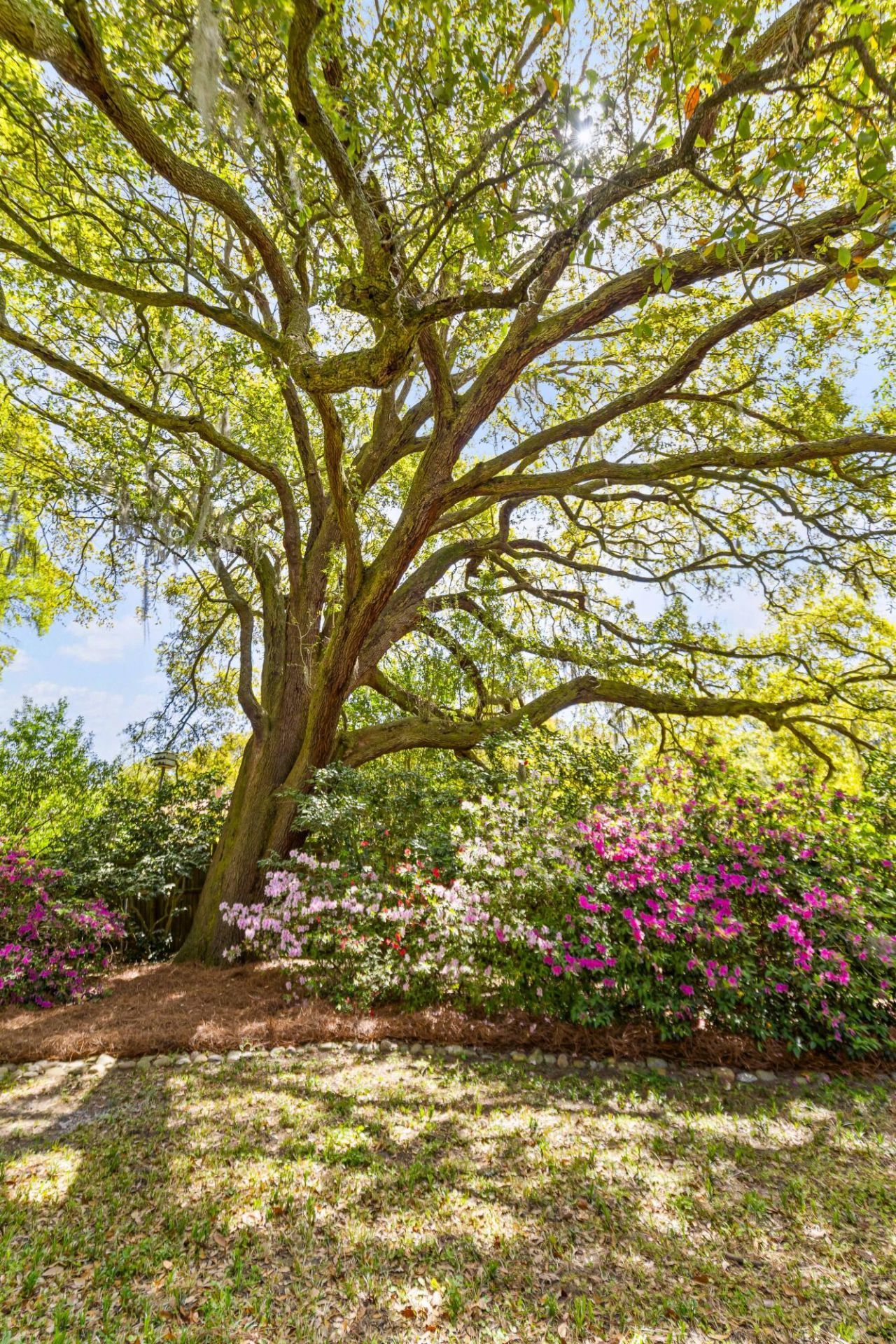 2169 Westrivers Road Photo 51