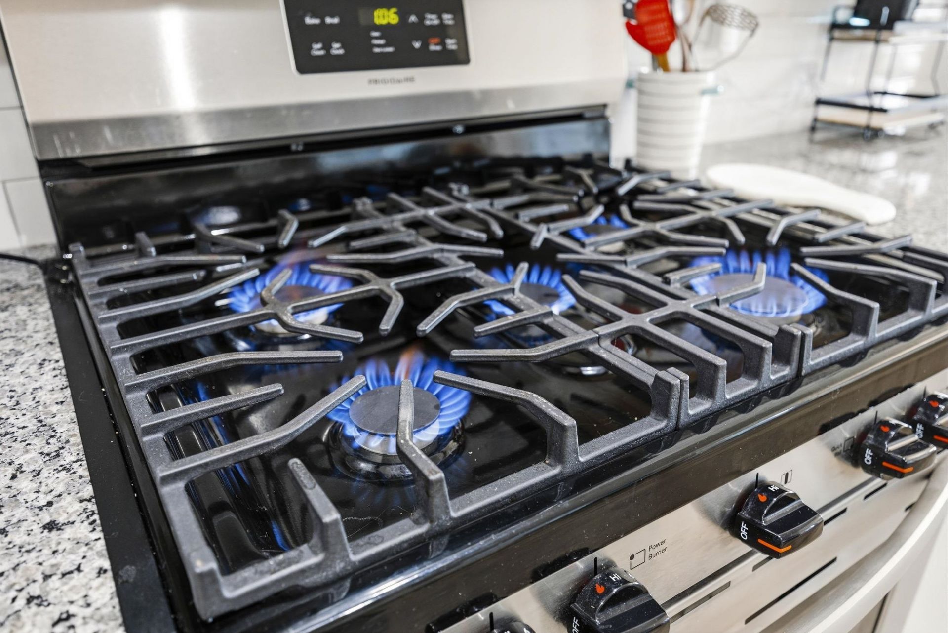 1008 Cypress Shoal Dr. Photo 19