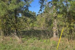 0000 St Barnabas Church Road  photo 4